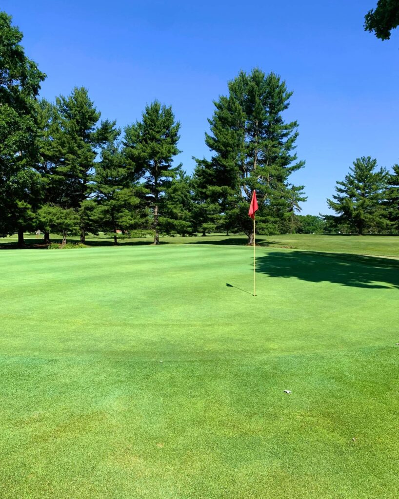 Sun-drenched green and flag with trees in the background.