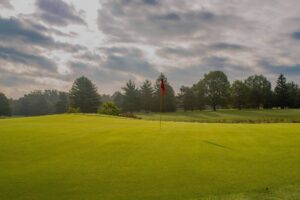 Immaculate green and flag pin.