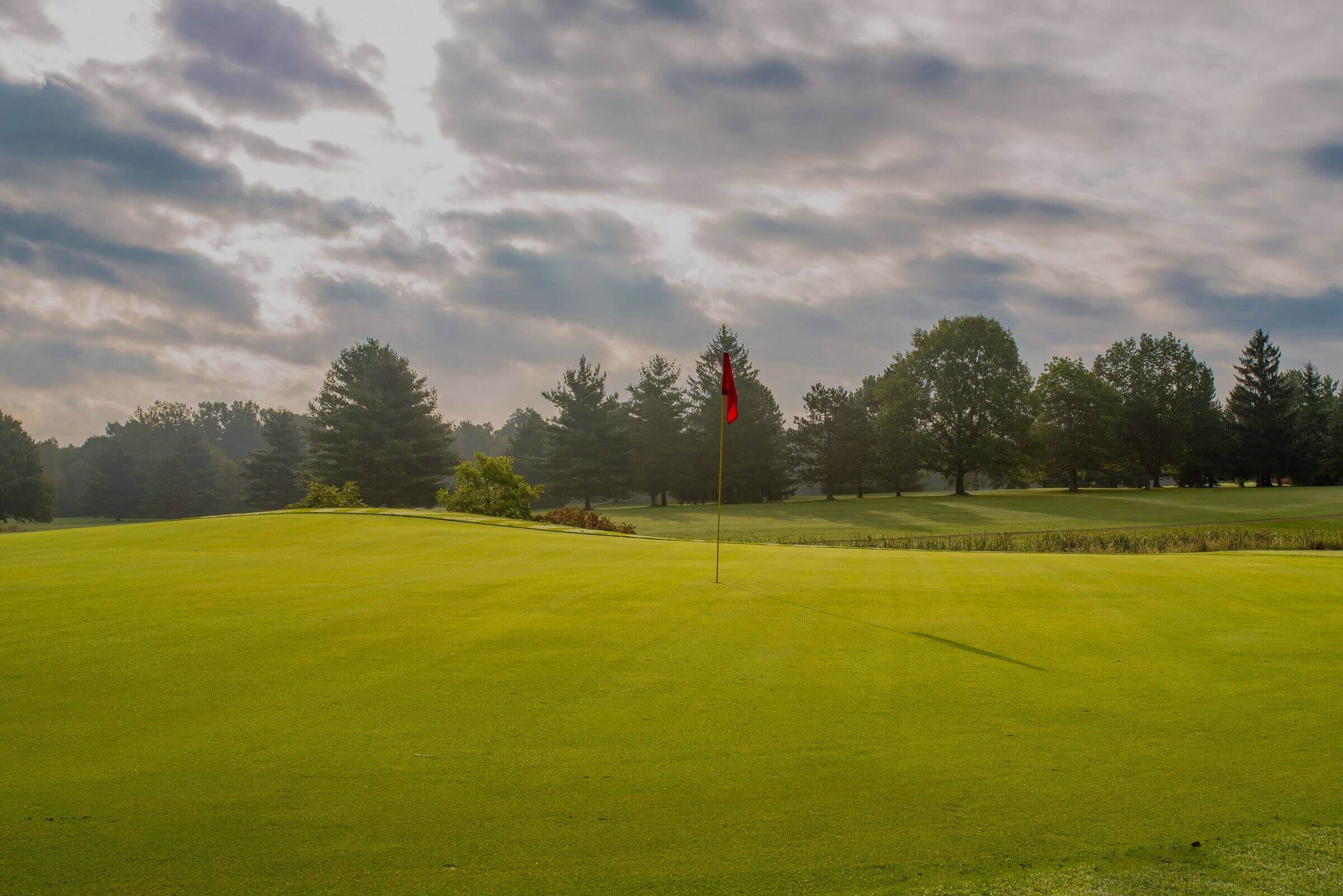Immaculate green and flag pin.