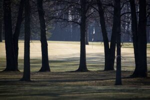 View from the wood coverage looking out to a sunny green and flag.
