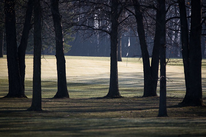 View from the wood coverage looking out to a sunny green and flag.