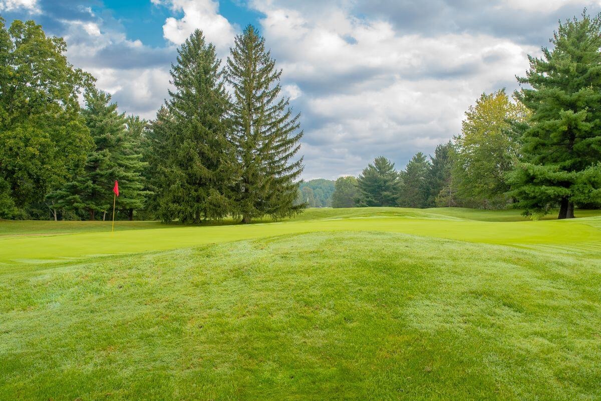 View of a green with dense wood coverage in the background.