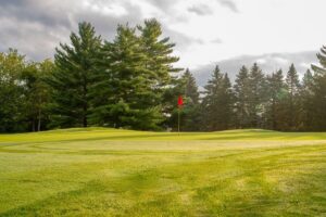 View of a green and flag in the early morning light.