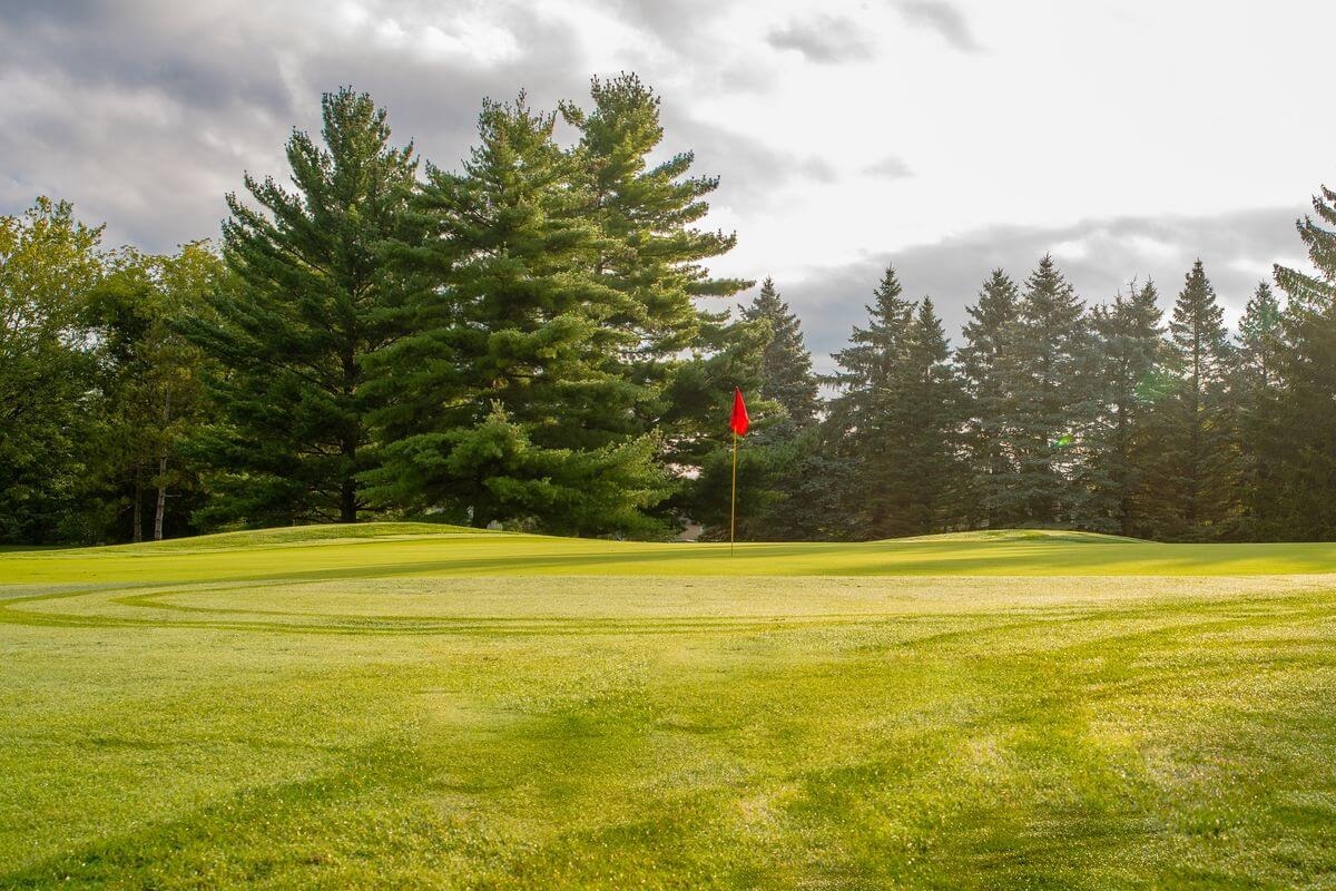 View of a green and flag in the early morning light.