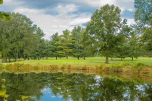 View of the lake reflecting a green and trees.