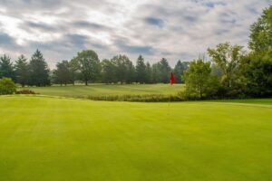 Perfectly maintained green bordered by wood coverage with another fairway just beyond.