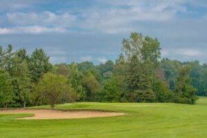 View of a bunker and green just beyond with dense wood coverage in the background.